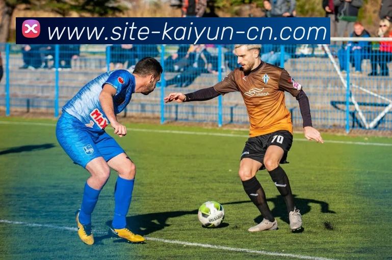 开云体育登入口服务体系